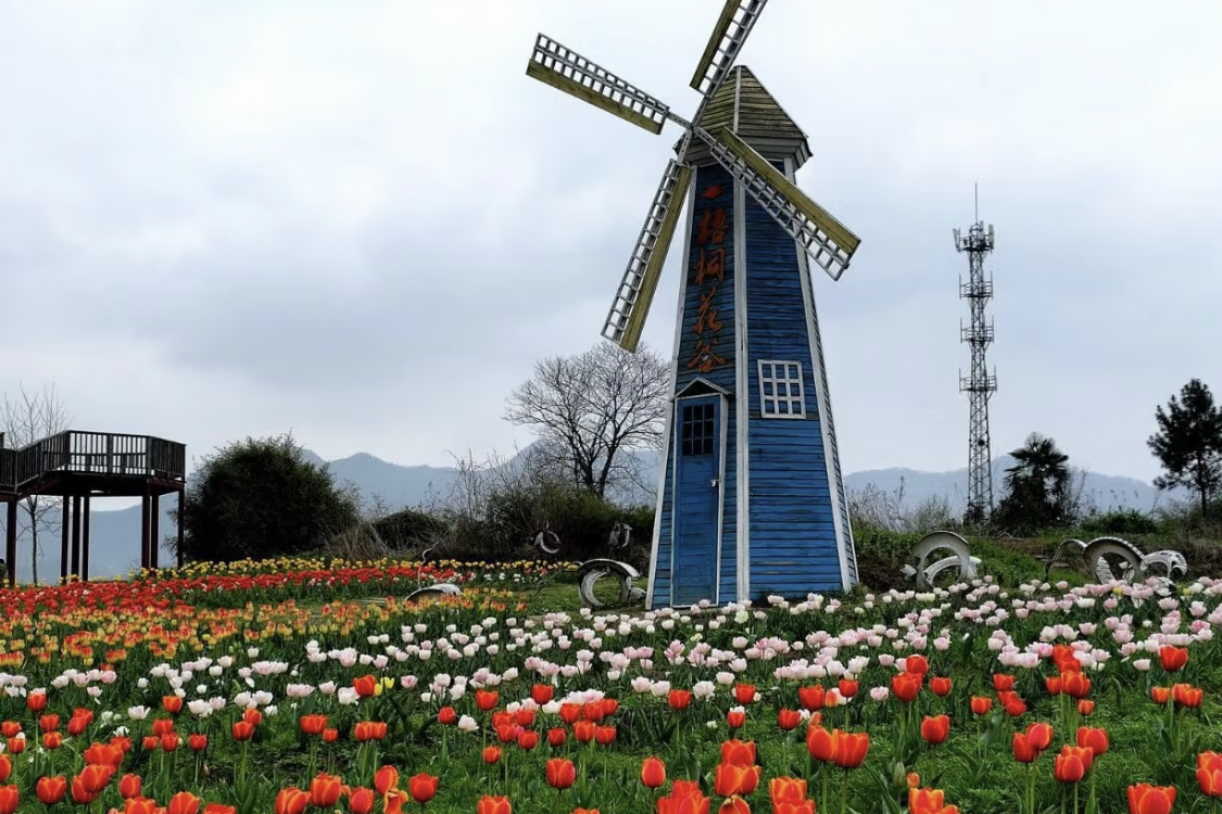Wutong Flower Valley